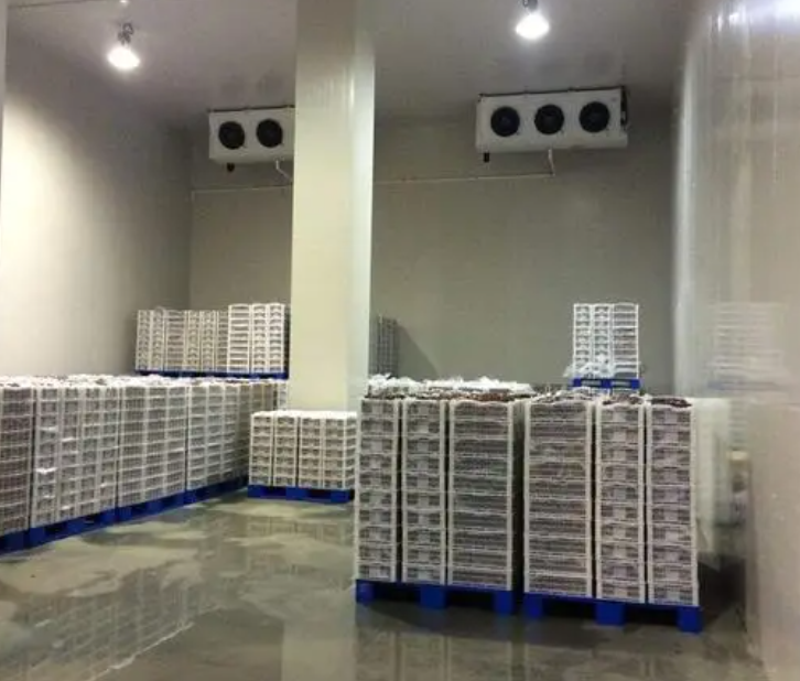 規(guī)范建造100平帶魚冷庫，為食品保鮮護(hù)航