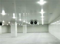建個(gè)一萬平出租型冷庫大概需要投資多少錢？