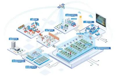植物工廠有了智慧大腦——《人民日報》聚焦山東青島智慧設施農業